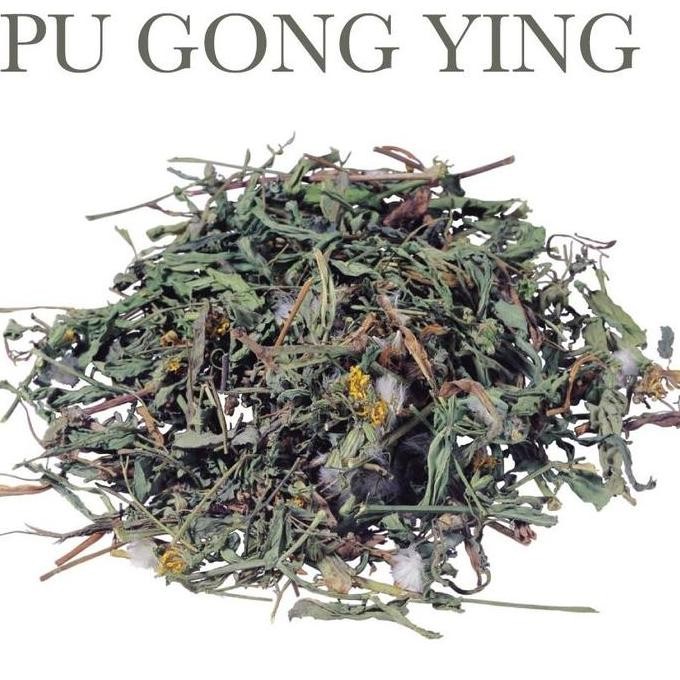 

welcome to tahuan jaya 600 G GR GRAM TEH DANDELION HERBAL TEA PU GONG YING
