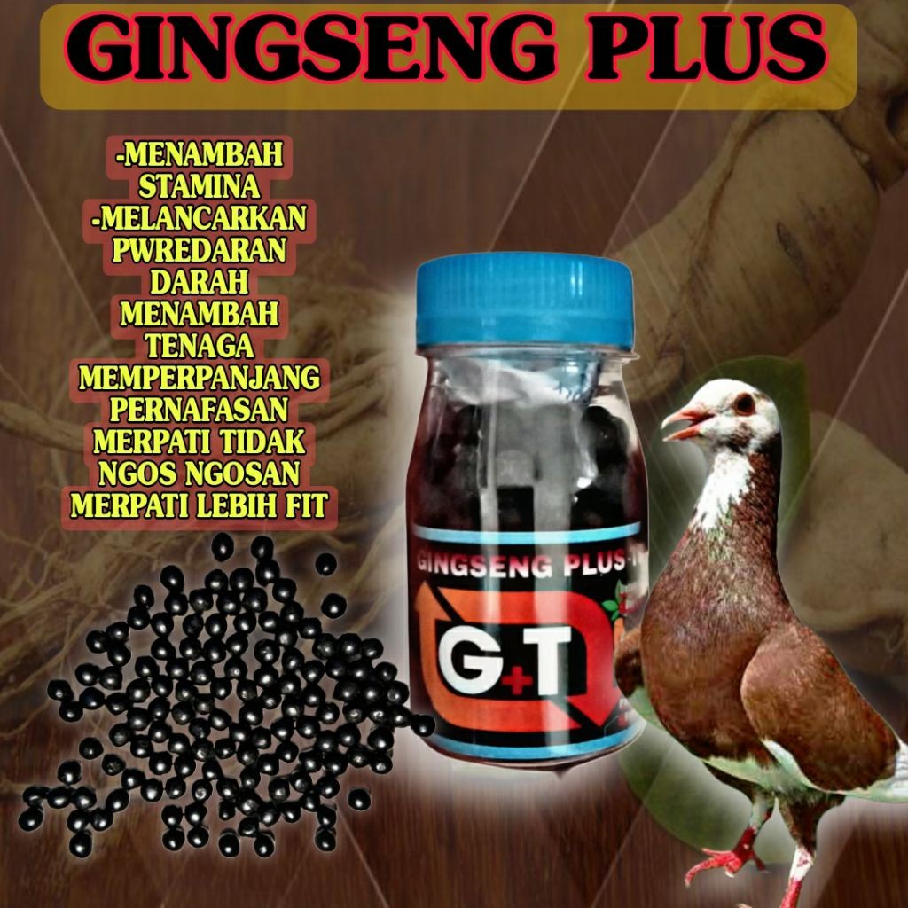 JAMU MERPATI GINGSENG PLUS TEKI ISI 50-75-100-150 BUTIR Extrak gingseng teki pasak bumi herbal rempa