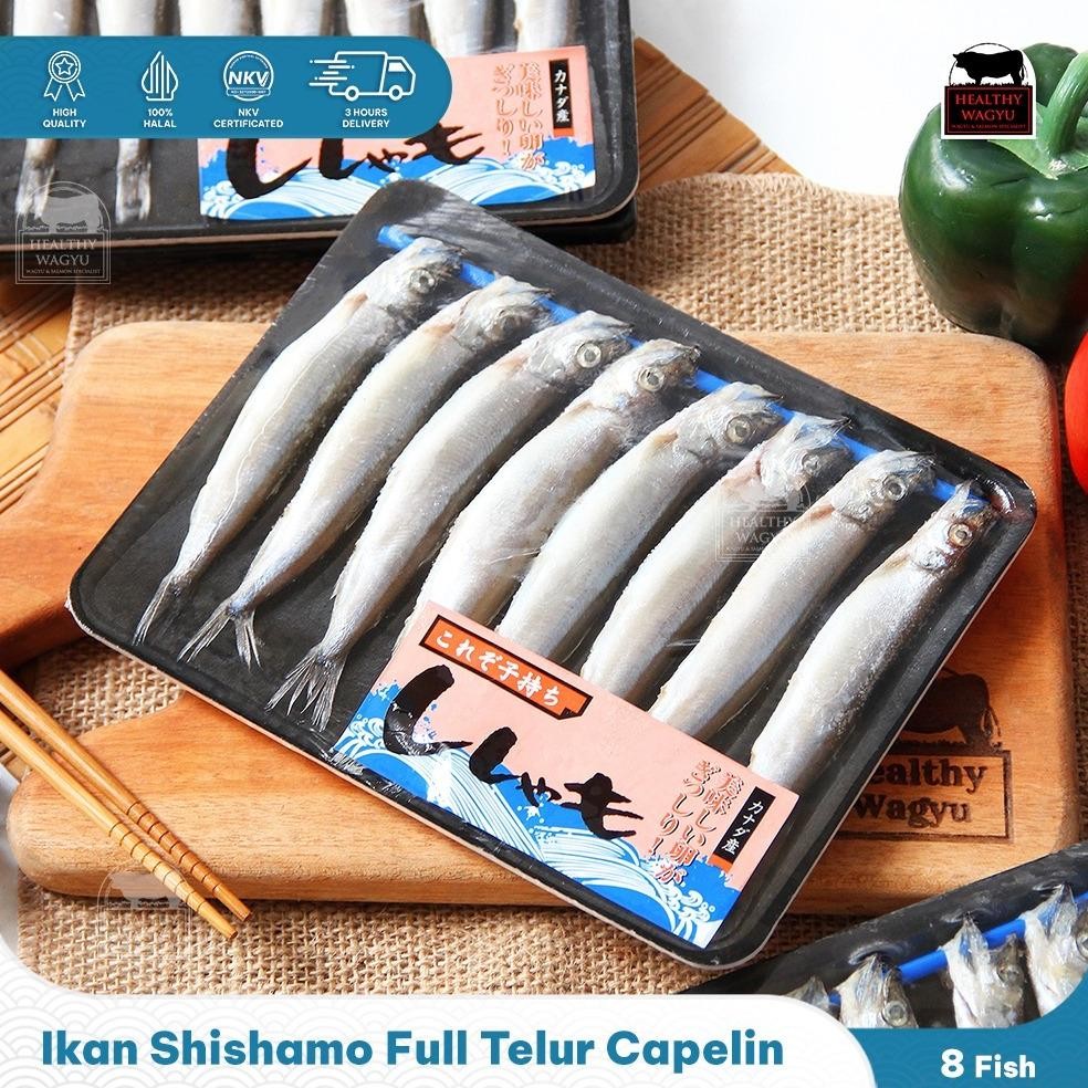 

Ikan Shisamo Full Telur Capelin Fish Premium Quality Import 8 Pcs Healthy Wagyu