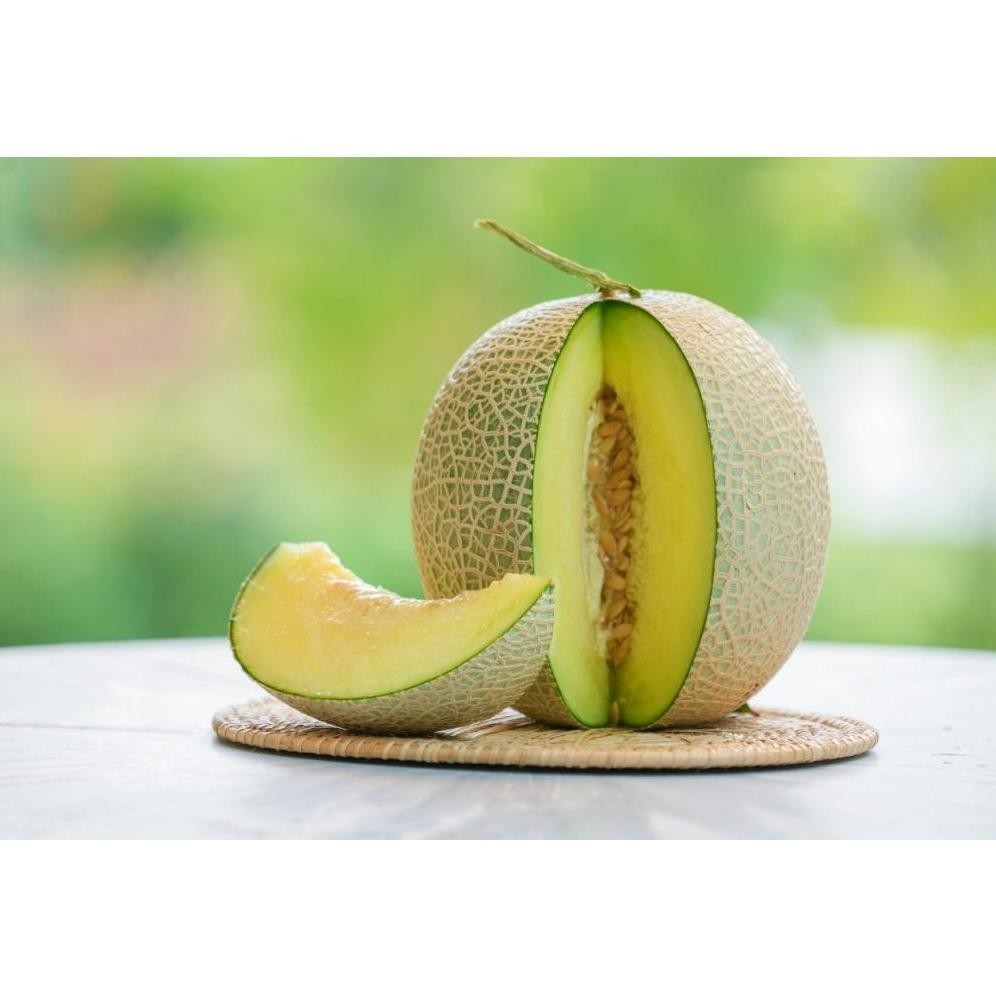 ( 1.000 Butir ) Benih Biji Melon Madu | Melon Manis | Melon Musk