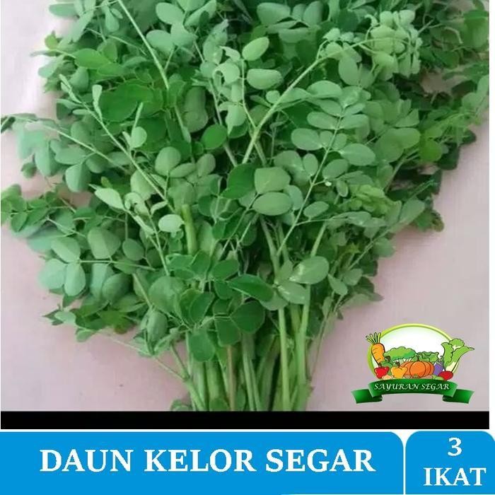 

LS Daun Kelor Segar Sayuran Murah PER 3 IKAT