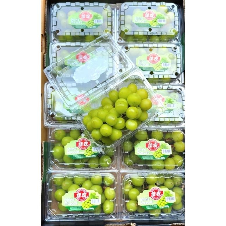 

Anggur Shine Muscat 500Gr Kemasan Pack 800Gr