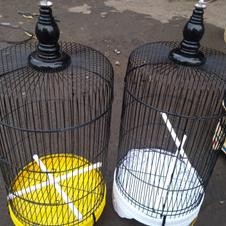 Viral Sangkar Pleci Heloped Tanggung Alto Ebod Jaya Besi Bulat Atap Datar Kandang Burung Konin Sogon
