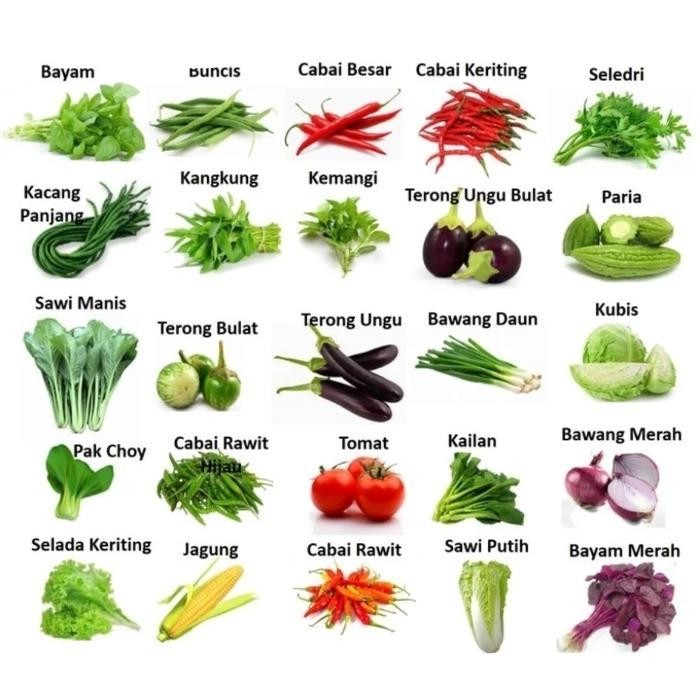 

SBID SAYURAN SEGAR SERBA 8000 (ISI MENYESUAIKAN HARGA PASARAN)