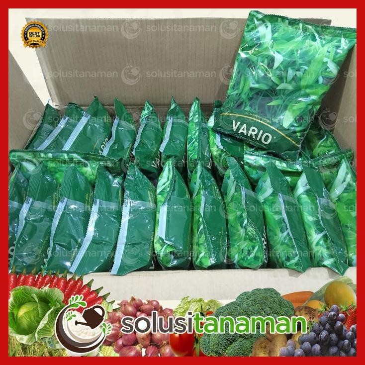 (Terbaru) Benih Sayur Sayuran Kangkung Vario @ 1 Kg Benih Hidroponik Organik Bestseller