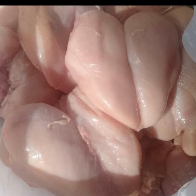 

filet dada ayam ready stock