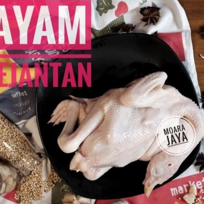 

AYAM PEJANTAN (FREE PARTING 4)