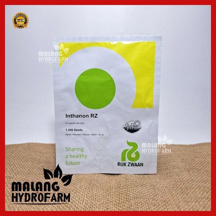 (Best Saller) Benih Melon Inthanon Rz 5 Seeds Intanon Rijk Zwaan Unggul Berkualitas Biji Bibit Repac