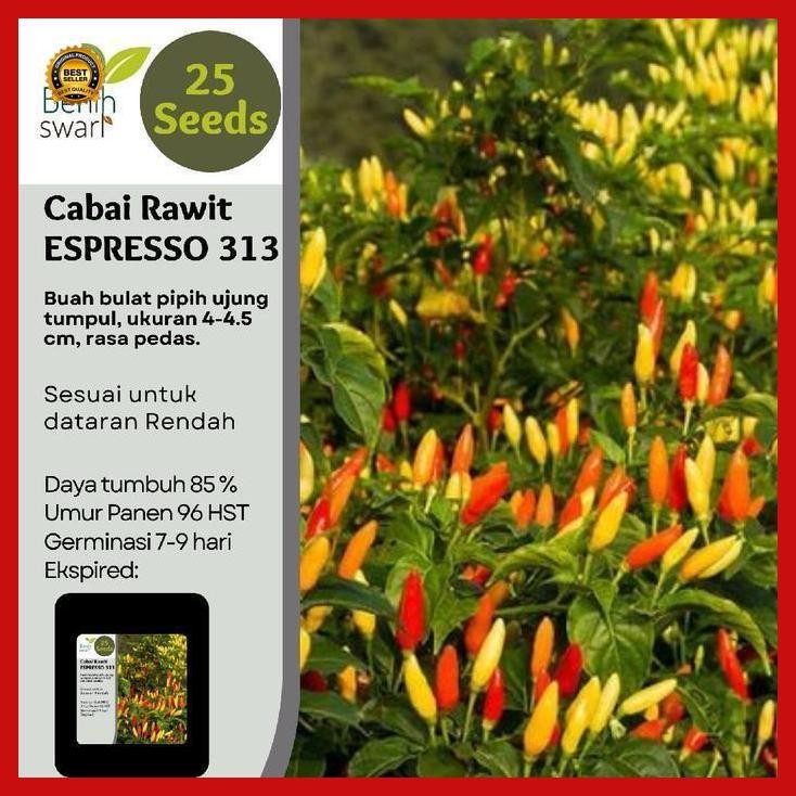(Diskon) Isi 25 Butir Benih Cabai Rawit Espresso 313 Bestseller