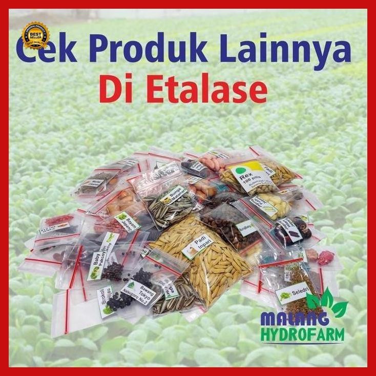 (Diskon) Benih Koro Uceng Hijau Unggulan Berkualitas Biji Bibit Repack Komak Kara Suceng Melinjo Say
