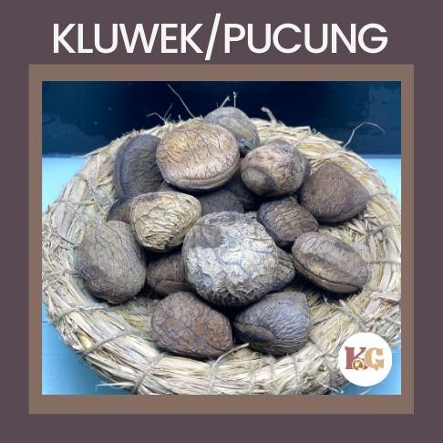 

uG TERMURAH KUALITAS Kluwek/Pucung Bumbu Masak Rempah 250gr