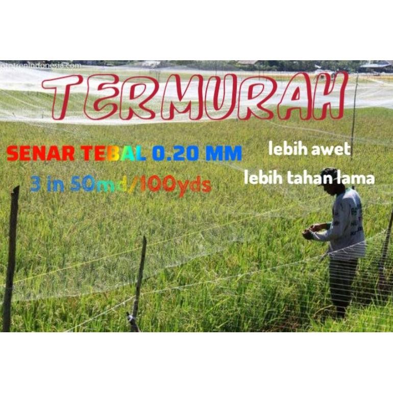 TERMURAH JARING BURUNG SENAR TEBAL 0.20 JARING SAWAH JARING PADI JARING PERANGKAP BURUNG JARING PELI