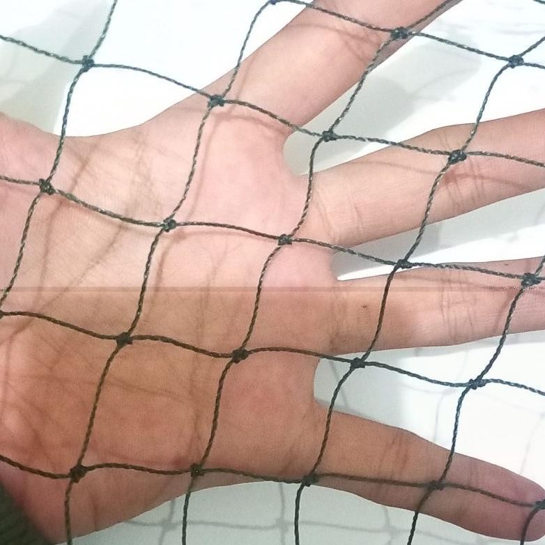 Jaring Pagar Ayam Lebar 2.5 Meter Jaring Ayam Lebar 2.5 Meter Jaring Pagar Ayam Jaring Pagar Kandang