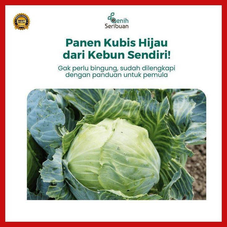 

(Ready) 10 Benih Kol Kubis Hijau F1 Sehati Dataran Rendah Bibit Sayuran Seribu Bestseller