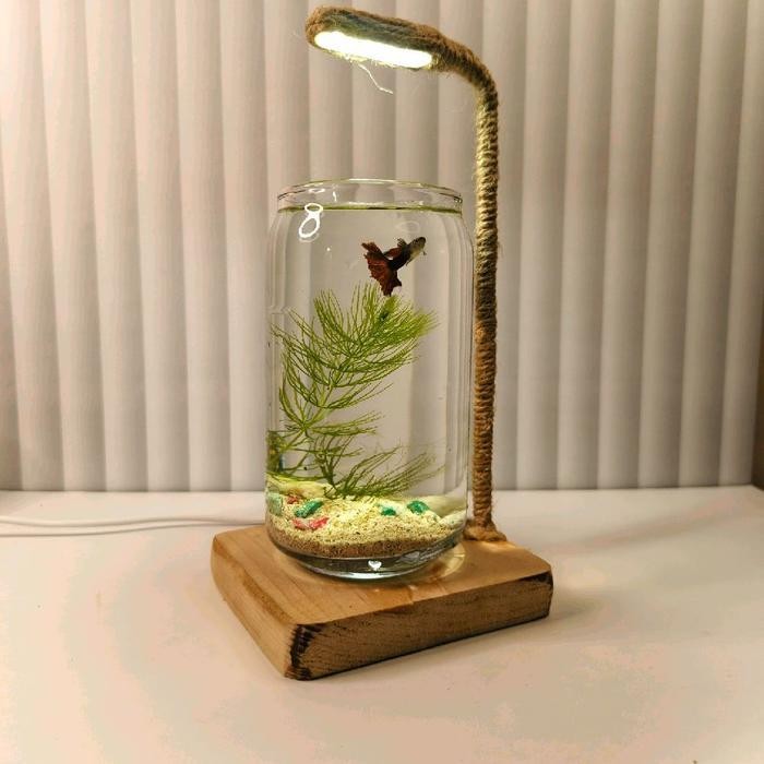 RA AKUARIUM MINI BULAT AESTHETIC / TANK CUPANG / AQUARIUM GUPPY/AQUASCAPE UNIK FULlSET PLUS LAMPU