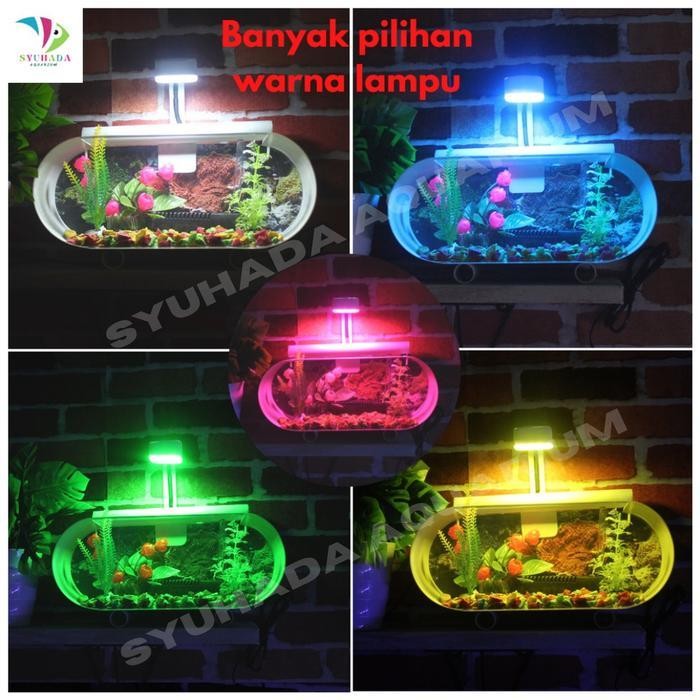 RA 1 Set Aquarium Mini /Akuarium akrilik Lengkap tinggal pakai (JUMBO)