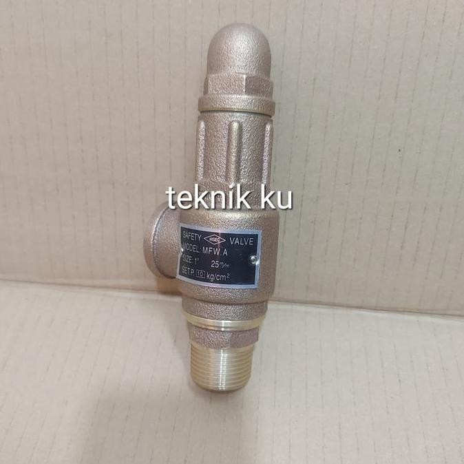 Safety Valve Hisec 3/4 Inch