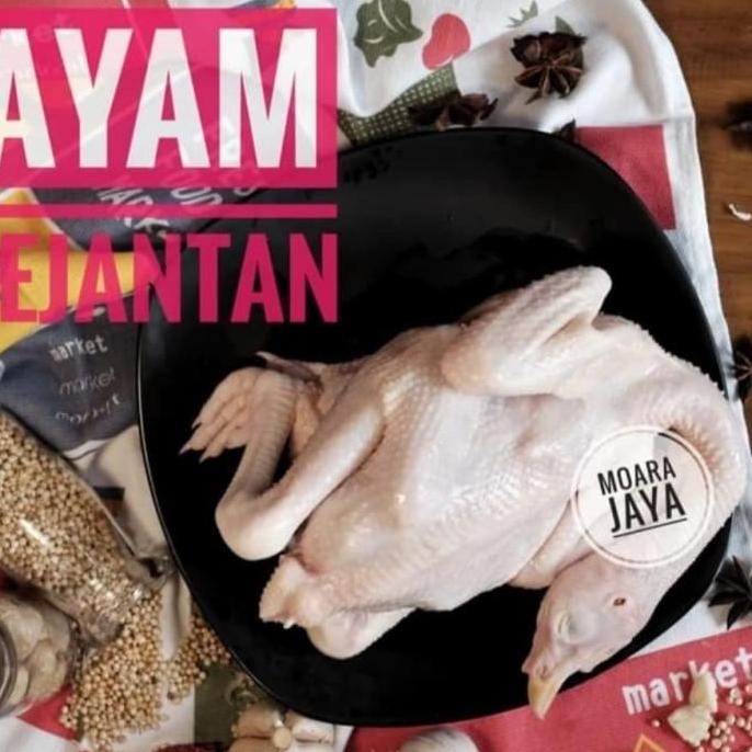 

AYAM PEJANTAN (FREE PARTING 4)