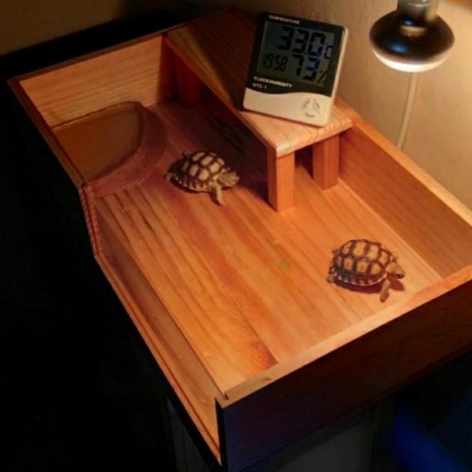 premium kandang tortoise sulcata kandang kura kura kandang kayu jati