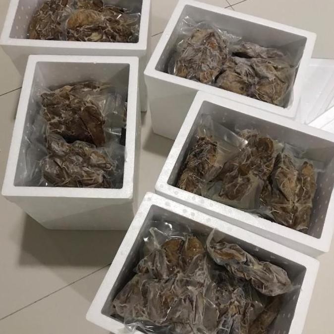 (Good) BURUNG DARA GORENG SURABAYA