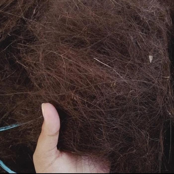 TERLARIS Ijuk Resapan untuk Filter Air, Septic tank, Resapan Taman dll - Harga Kiloan