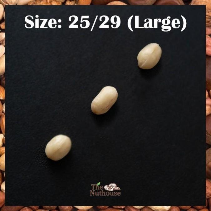 

(Good) 1kg Kacang Tanah Kupas / Blanched Peanut Kernel Size 25/29 (Besar)