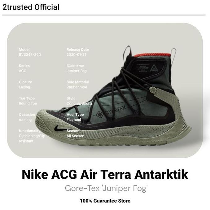 New  Nike ACG Air Terra Antarktik Gore-Tex 'Juniper Fog'