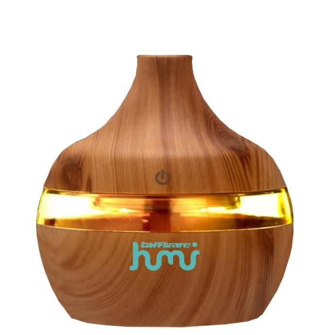 Air Humidifier Alat Pengharum Ruangan Aromaterapi Uap Diffuser Oil
