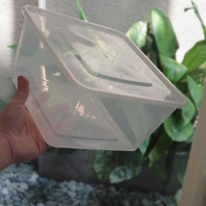 Thinwall Square 3000Ml / Thinwall Kotak 3000Ml. Isi 25Pcs
