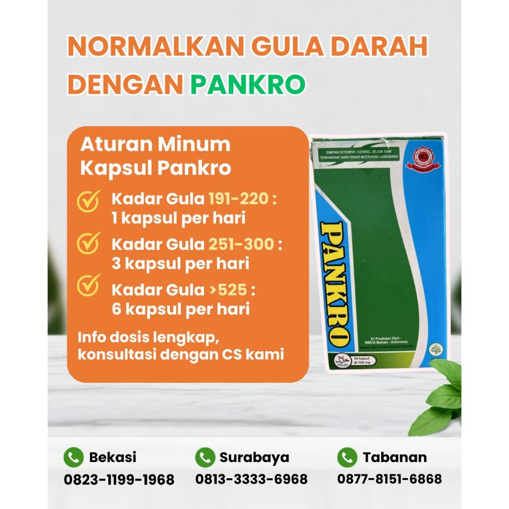 Obat Diabetes Pankro Obat Herbal Diabetes Kering Basah Dijamin Ampuh Obat Penurun Gula Darah Ampuh B