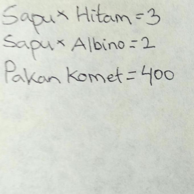 paketan ikan sapu2 dan pakan