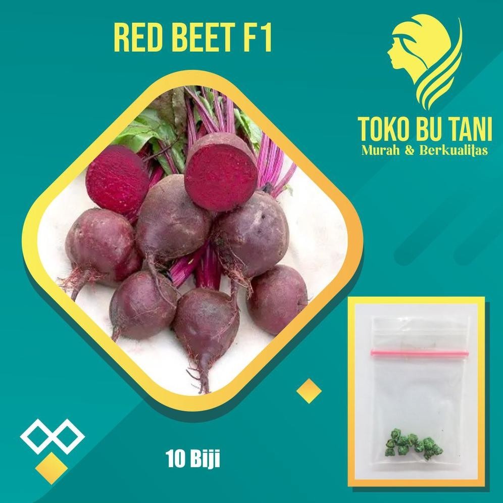Benih Buah Organic Red Beet Buah Ubi Merah Beetroot Benih Buah-Buahan Berkualitas