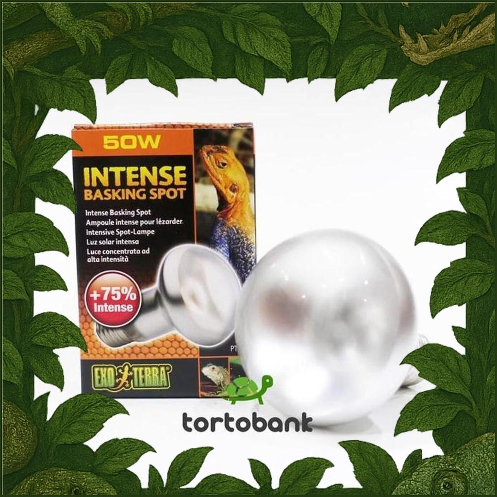 Lampu Uva Exoterra Intense Basking Spot 50W - Lampu Reptil - Lampu Kura Darat - Lampu Tortoise - Lam