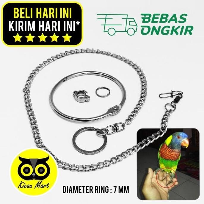 langsung order saja] RANTAI FREE FLYING BURUNG NURI PUTER PELUNG RING BORGOL 7 MM RTFL7M