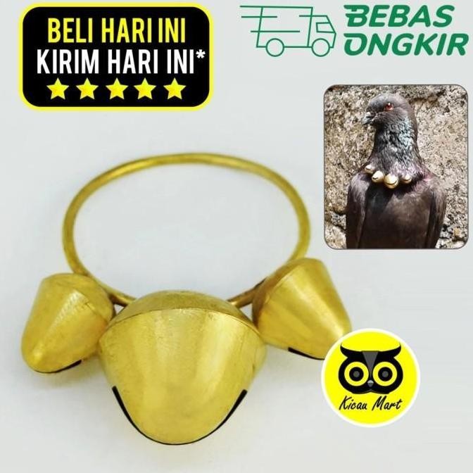 #####] SAWANGAN MERPATI KALUNG 3 LUBANG SAWANGAN HOTANG BURUNG DARA 3KLGMR