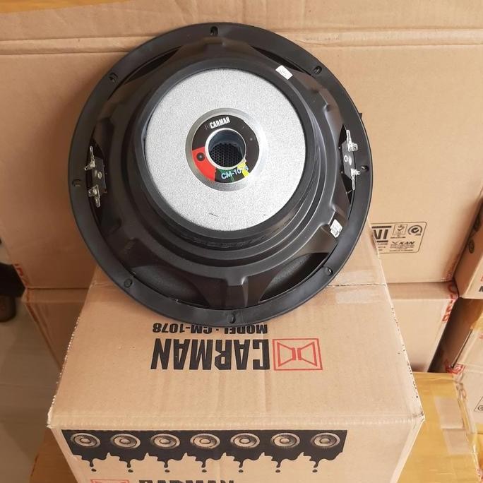Subwoofer 10 In Carman