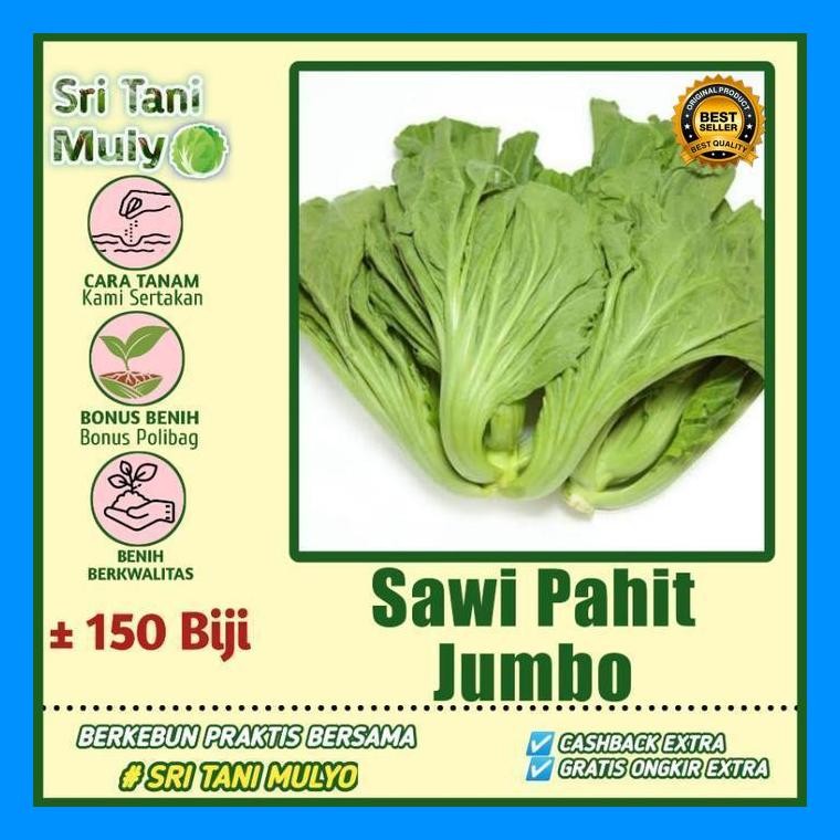 [Cod] - 150 Biji - Benih Sawi Pahit Jumbo Lokal - Bibit Sayuran - Benih Sayur