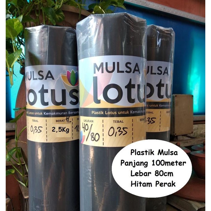 Mulsa Plastik pertanian Hitam Perak lebar 80 cm 1 rol tebal kuat murah