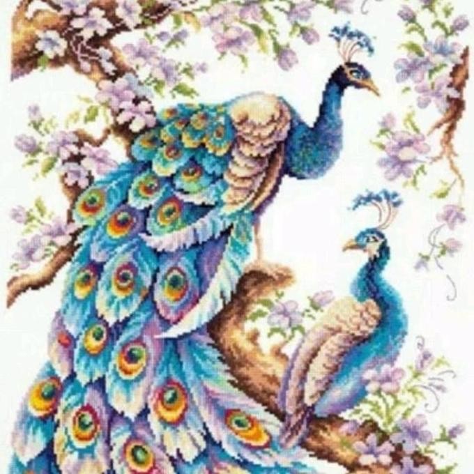 paket kristik dua burung merak biru