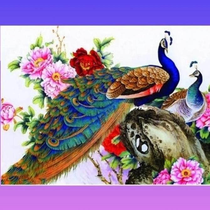 paket kristik merak peacock dan bunga peoni cross stitch 11ct