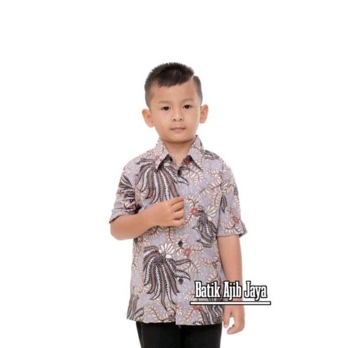 Kemeja Batik Anak Laki-laki Lengan Pendek - Hem Anak - Hem Batik Anak usia 2-12tahun - Kemeja Batik 