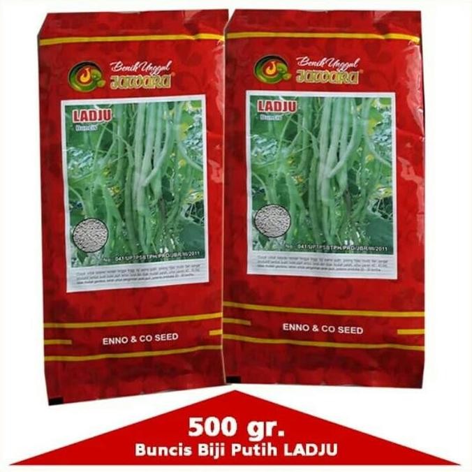 Promo Benih Buncis LADJU 500 gram - bibit buncis COD