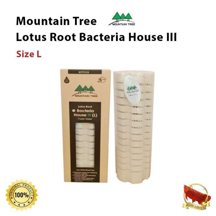 Mountain Tree Lotus Root Bacteria House III Size L Rumah Bakteri Media