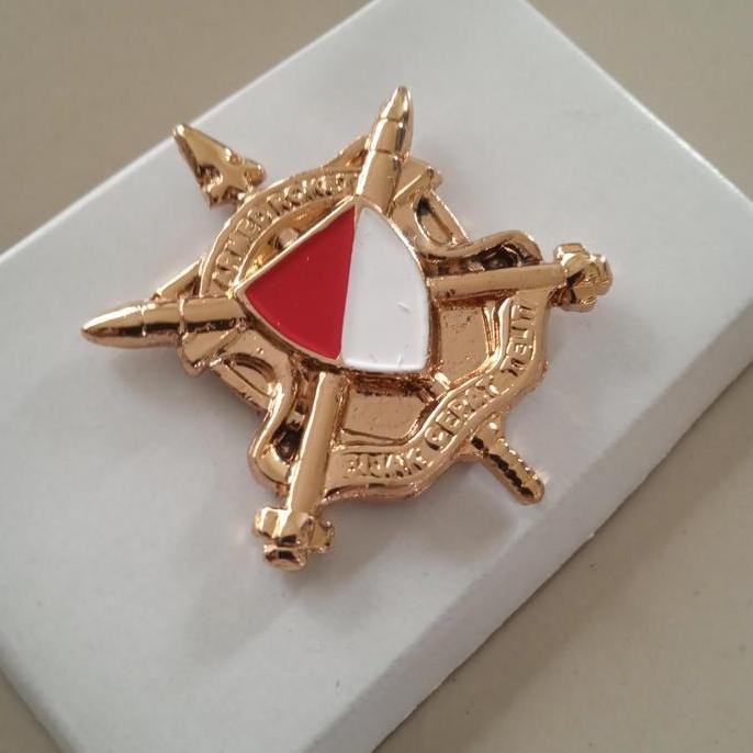 Brevet Wing Armed Astros