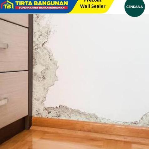 BR CENDANA CAT DASAR EXTERIOR PRIMER PAINT CAT DASAR DINDING LUAR