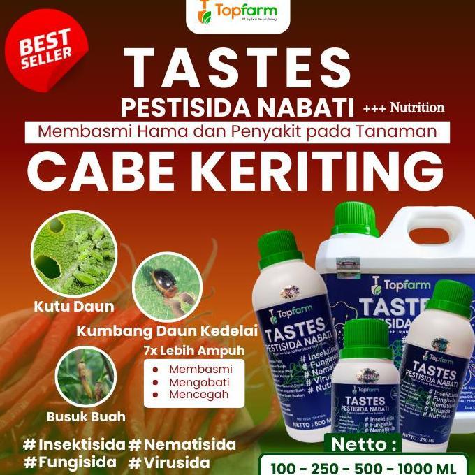 OBAT SEMPROT CABE MERAH / PESTISIDA UNTUK POHON CABE MERAH / OBAT BUSUK BUAH CABE MERAH / OBAT SEMPR