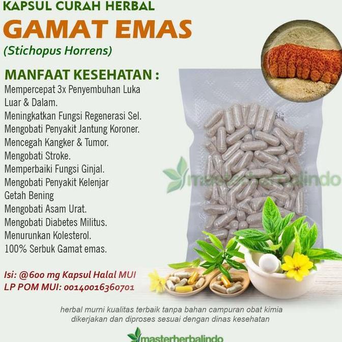 Health- Kapsul Curah Gamat Emas Anti Aging Kesuburuan Pria Kanker 100 Capsul