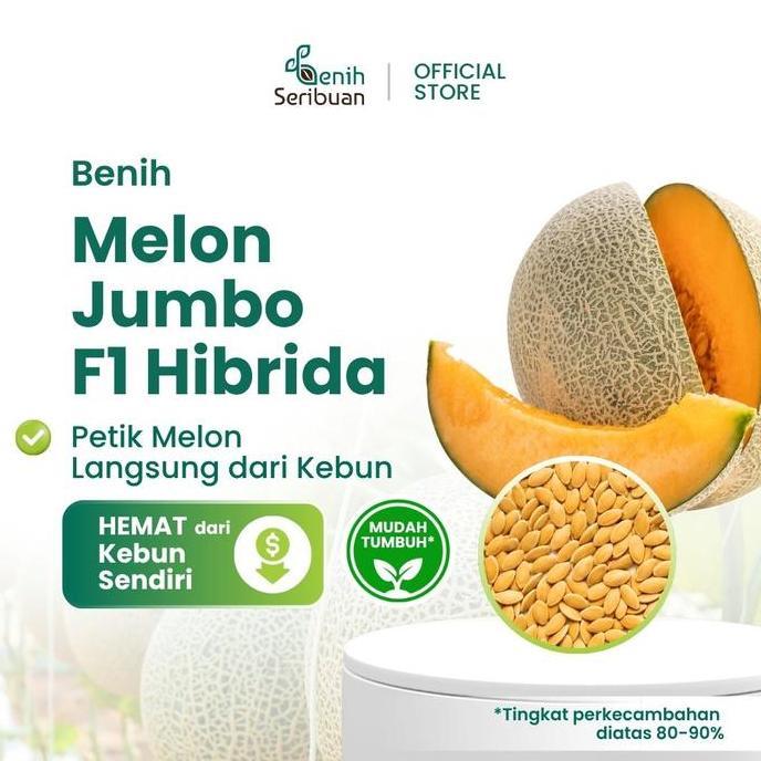 2 Benih Melon Jumbo F1 Hibrida Bibit Buah Melon Orange Manis