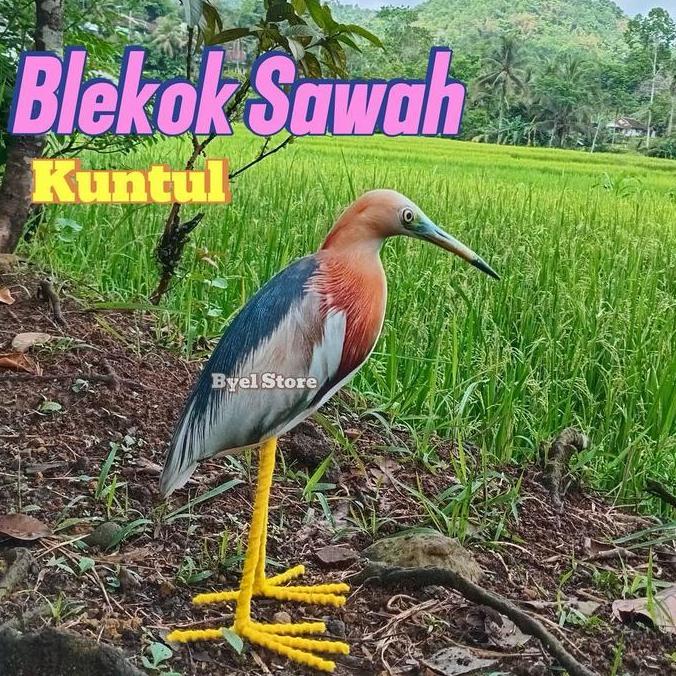 Patung burung Blekok Sawah / Kuntul