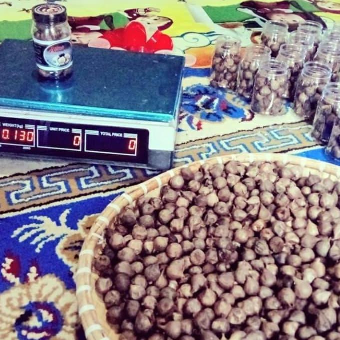 Black Garlic Bawang Hitam Tunggal Fermentasi dari Bawang Putih Lanang
